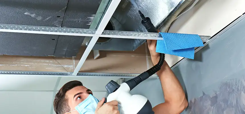 Our Air Duct Rodent Removal Services in Menlo Park, CA