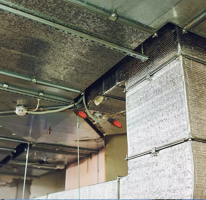 Why Homeowners & Businesses Trust Us in Menlo Park, CA?