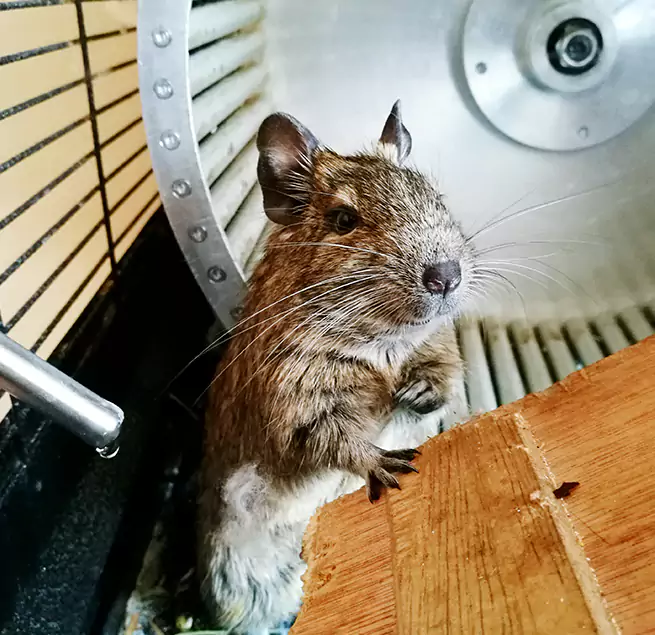 Why Homeowners & Businesses Trust Us Menlo Park, CA