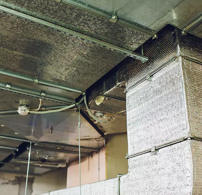 Why Homeowners & Businesses Trust Us in Menlo Park, CA?